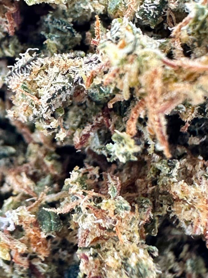 Trim premium – Image 2