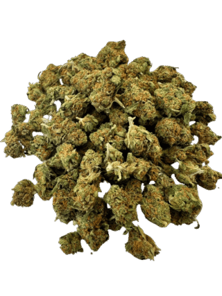 Small buds de Strawberry